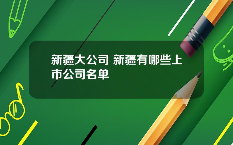 新疆大公司 新疆有哪些上市公司名单